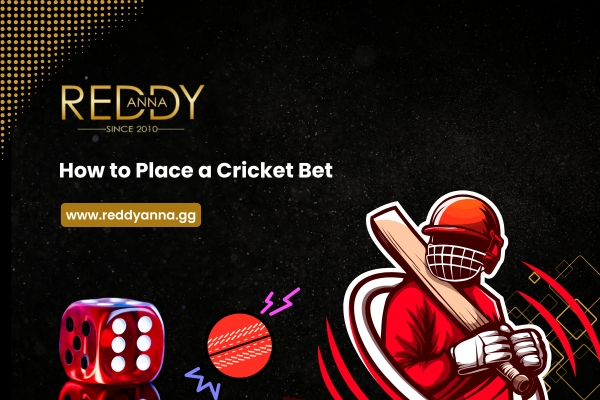 How to Place a Cricket Bet at Reddy Anna