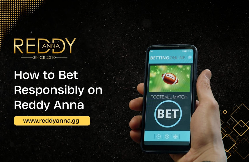 How to Bet Responsibly on Reddy Anna